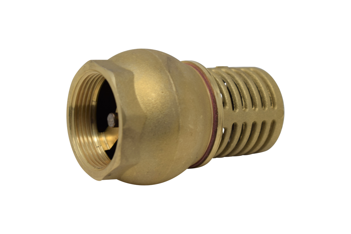brass foot valve